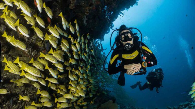 diving2